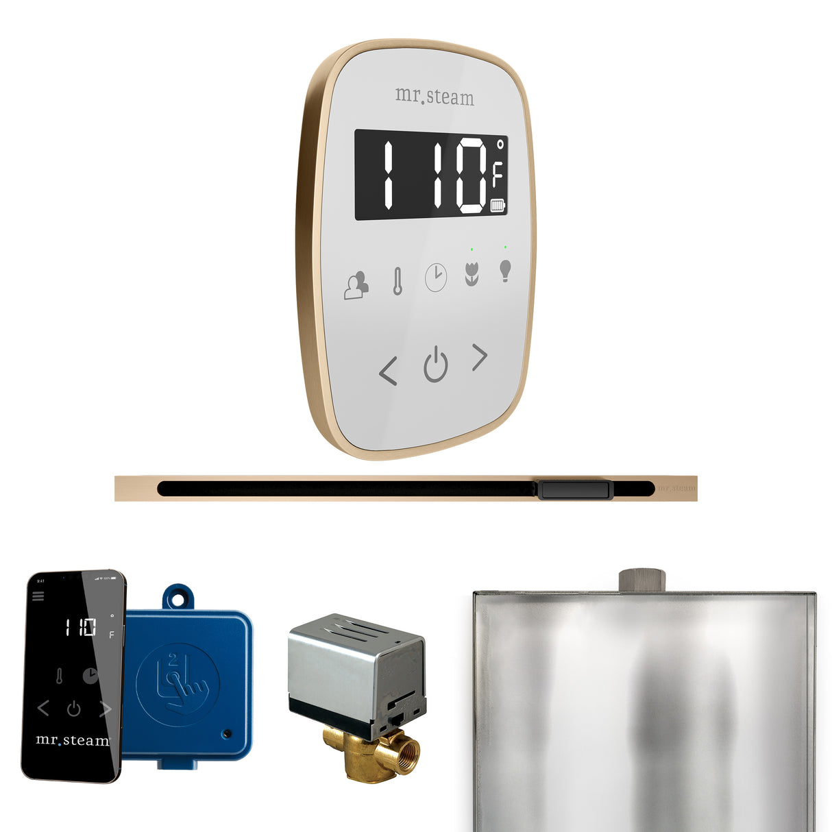 Mr. Steam ButlerFlex Steam Shower Control Package with TempoFlex Control and Linear Steamhead Mr. Steam