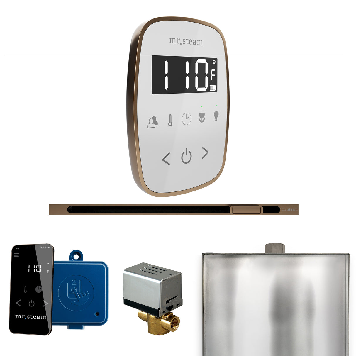 Mr. Steam ButlerFlex Steam Shower Control Package with TempoFlex Control and Linear Steamhead Mr. Steam