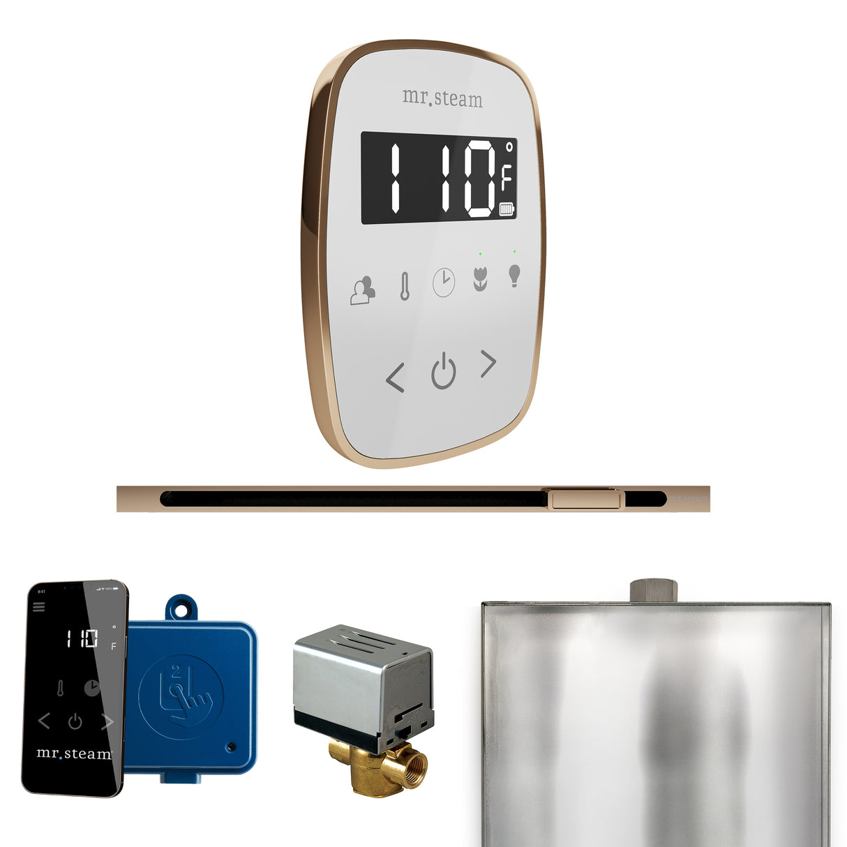 Mr. Steam ButlerFlex Steam Shower Control Package with TempoFlex Control and Linear Steamhead Mr. Steam