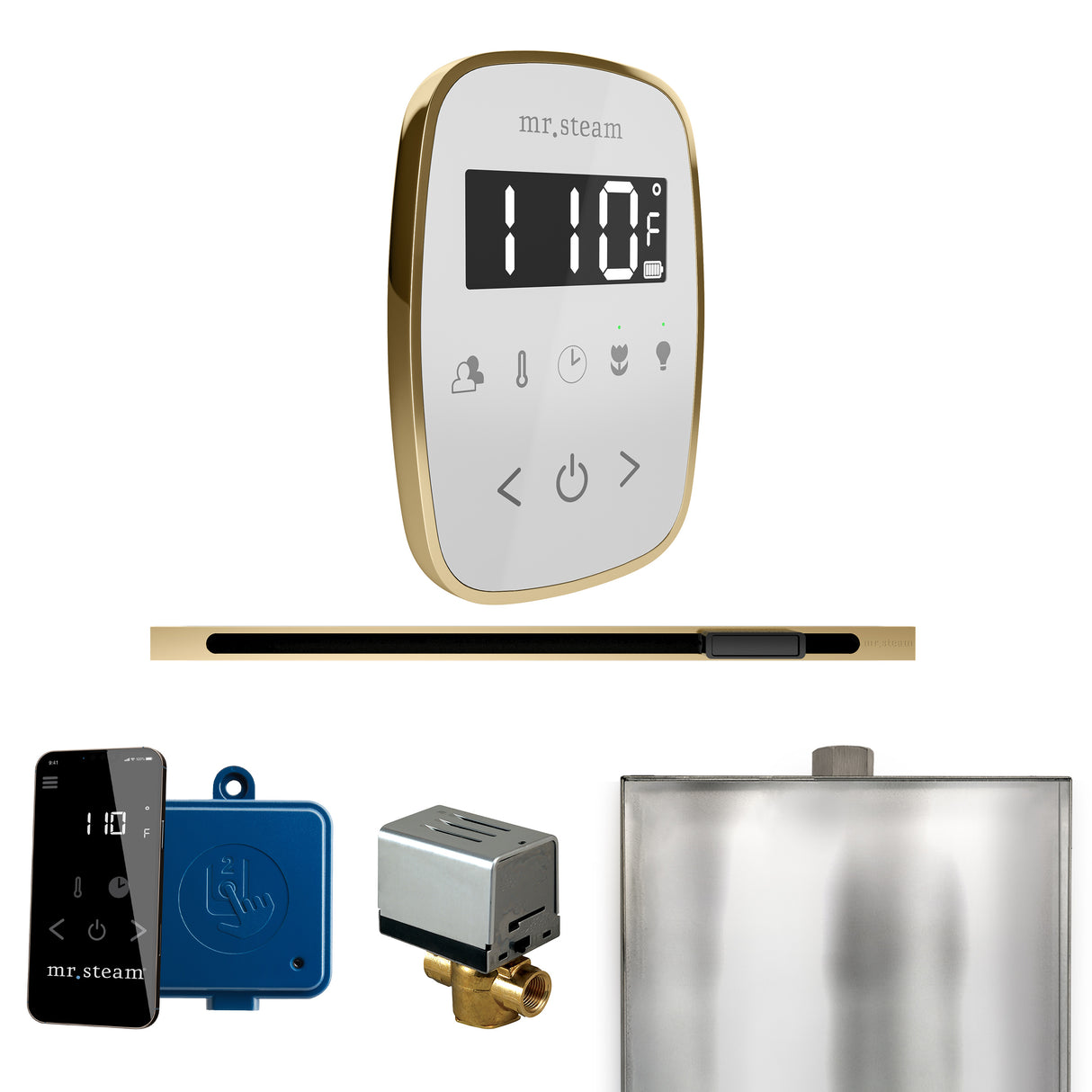 Mr. Steam ButlerFlex Steam Shower Control Package with TempoFlex Control and Linear Steamhead Mr. Steam
