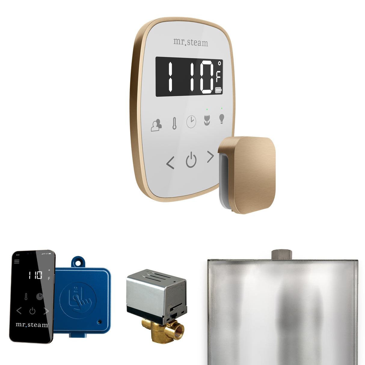 Mr. Steam ButlerFlex Steam Shower Control Package with TempoFlex Control and Steamhead Mr. Steam