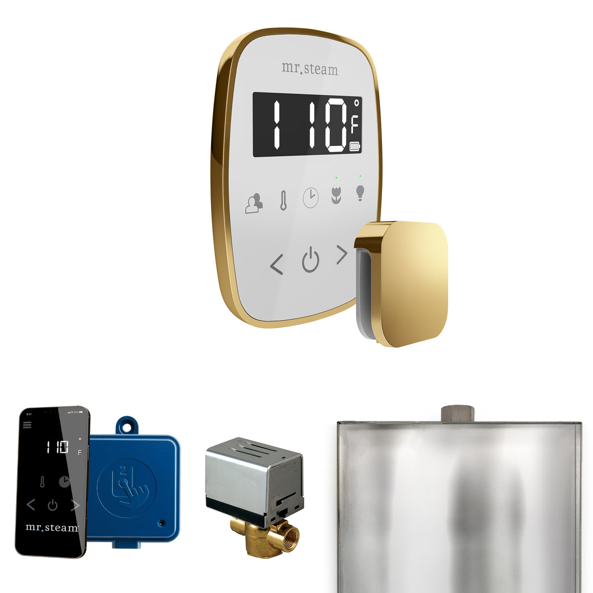 Mr. Steam ButlerFlex Steam Shower Control Package with TempoFlex Control and Steamhead Mr. Steam