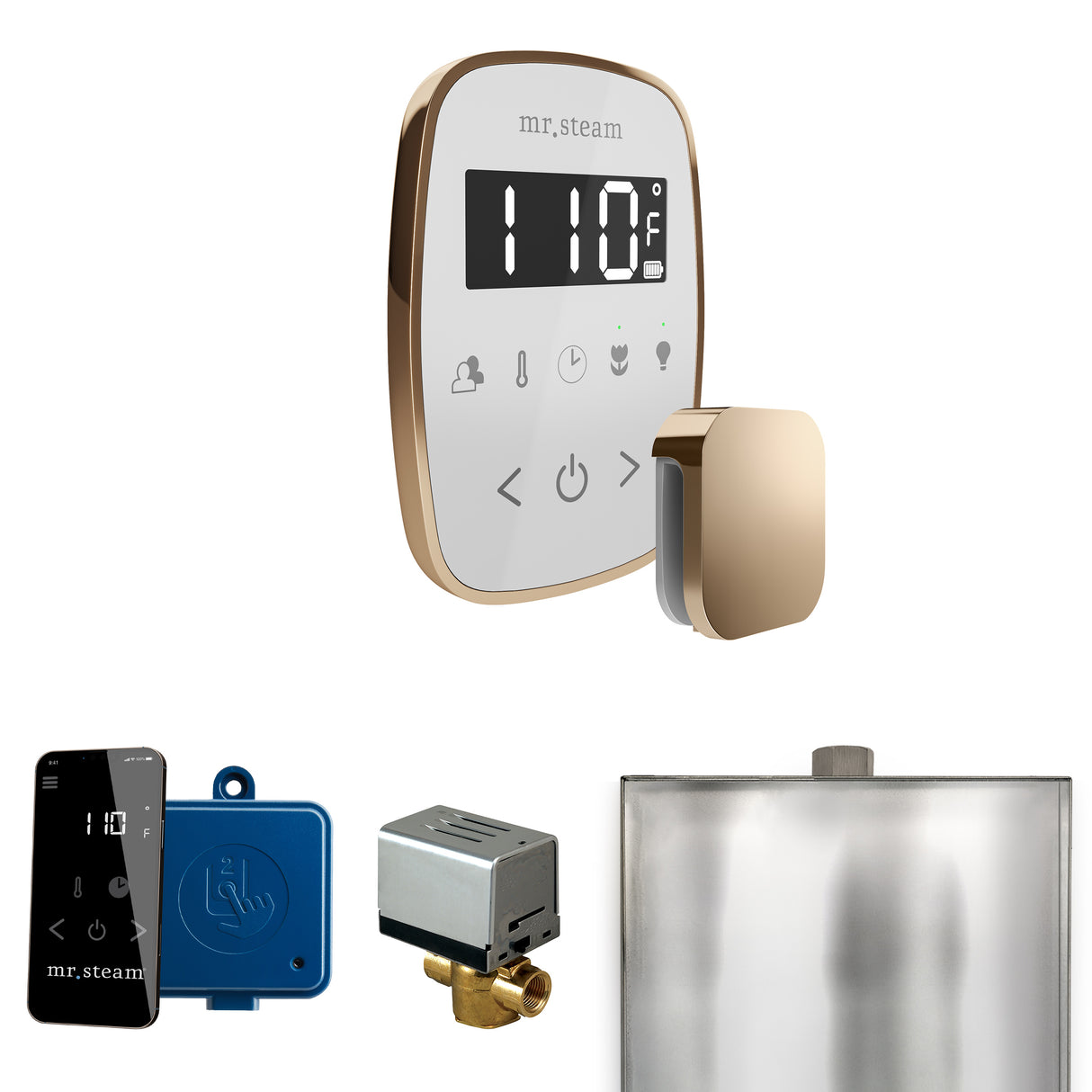 Mr. Steam ButlerFlex Steam Shower Control Package with TempoFlex Control and Steamhead Mr. Steam