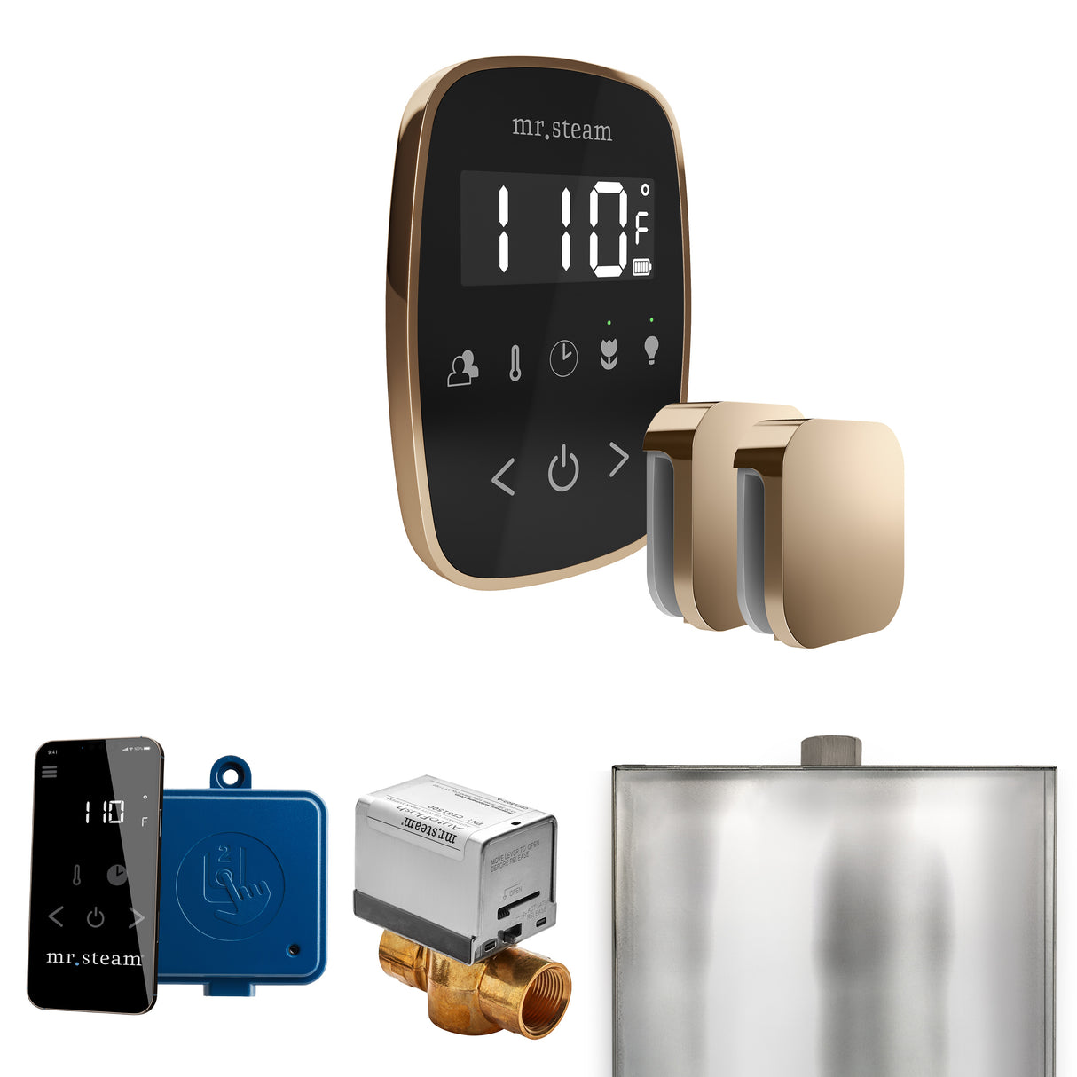 Mr. Steam ButlerFlex Max Steam Shower Control Package with TempoFlex Control and Steamhead Mr. Steam