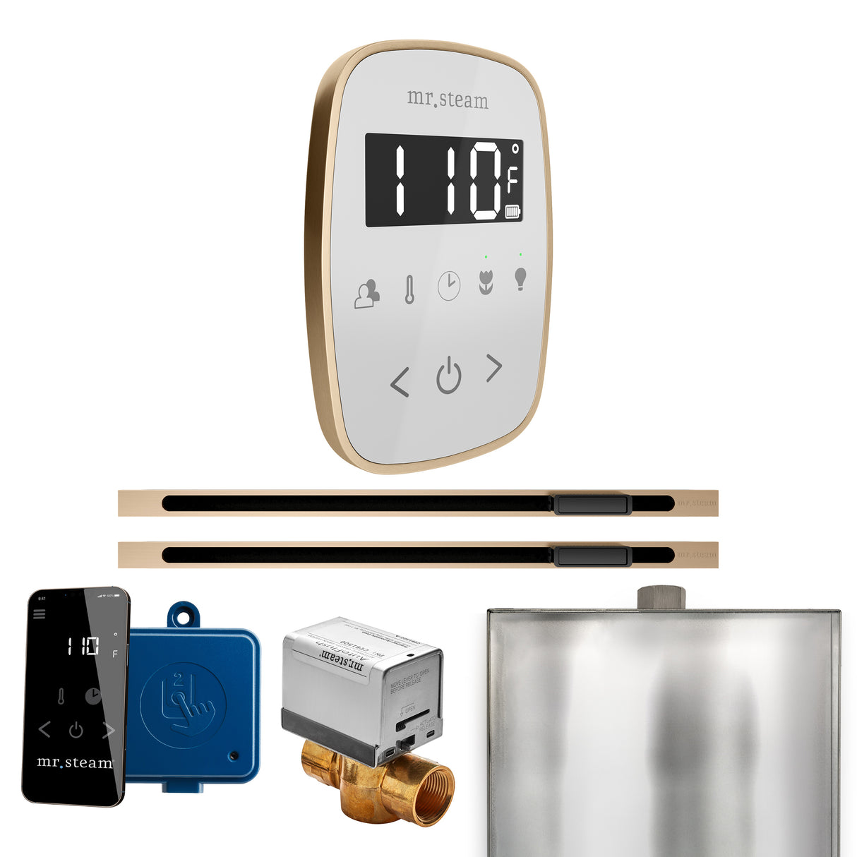 Mr. Steam ButlerFlex Max Steam Shower Control Package with TempoFlex Control and Linear Steamhead Mr. Steam