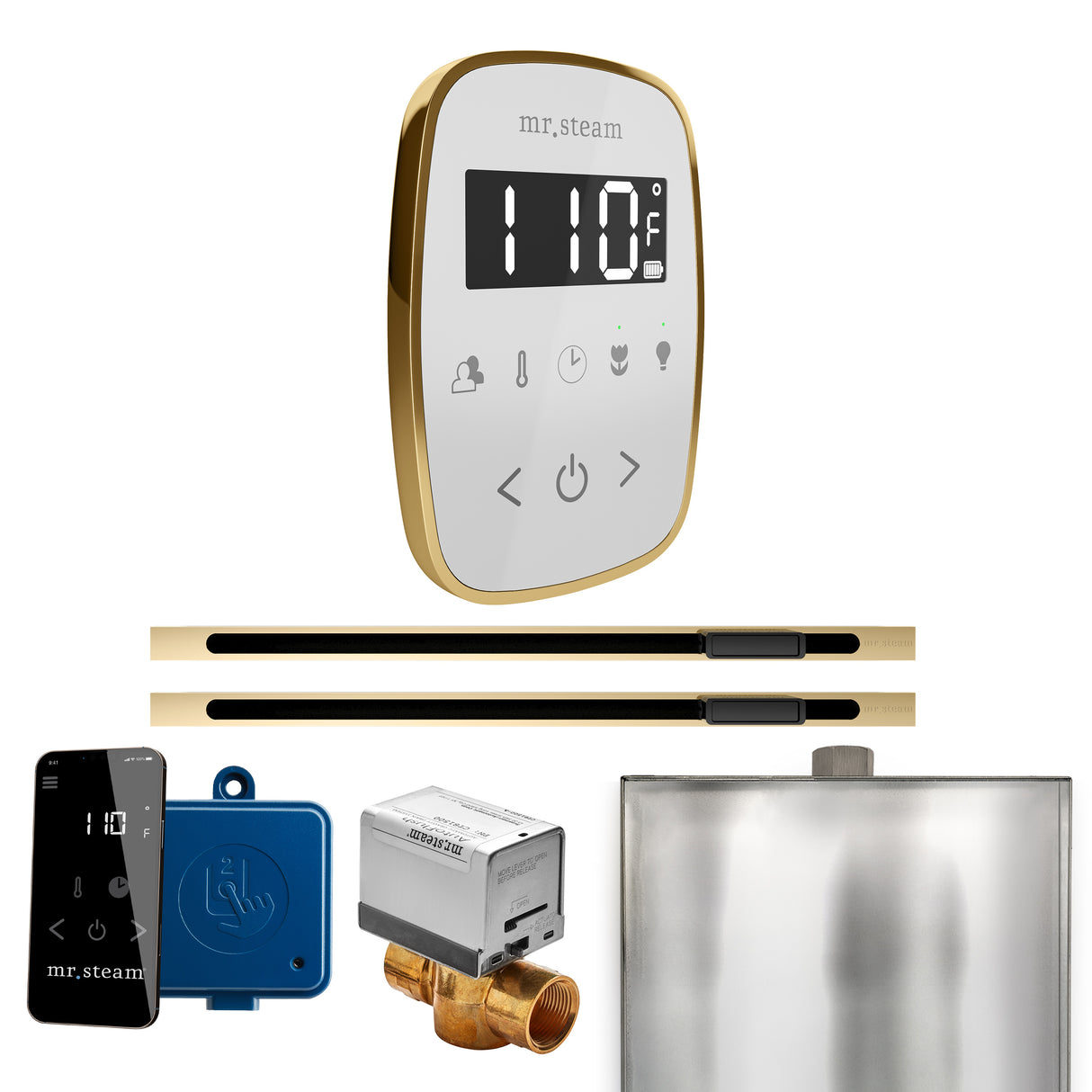 Mr. Steam ButlerFlex Max Steam Shower Control Package with TempoFlex Control and Linear Steamhead Mr. Steam