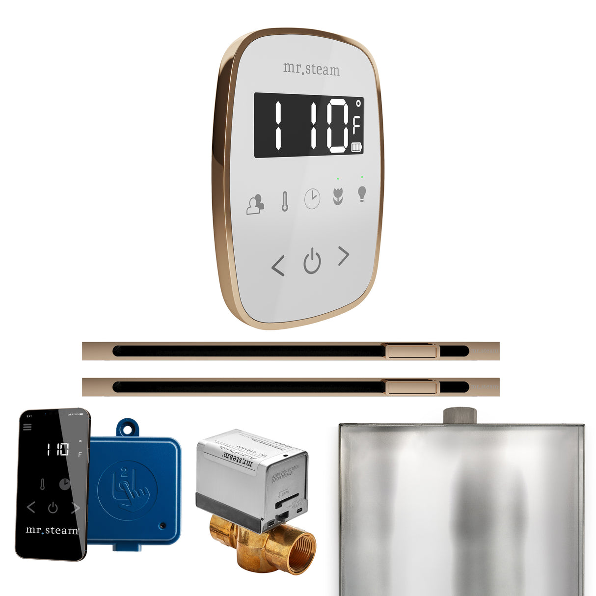 Mr. Steam ButlerFlex Max Steam Shower Control Package with TempoFlex Control and Linear Steamhead Mr. Steam