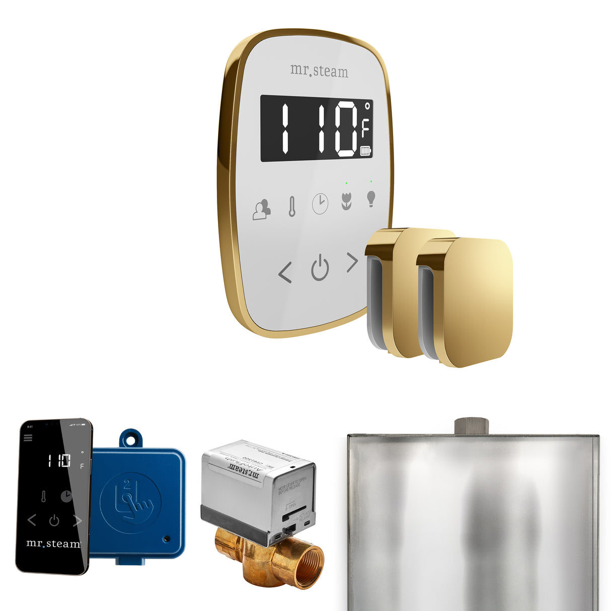 Mr. Steam ButlerFlex Max Steam Shower Control Package with TempoFlex Control and Steamhead Mr. Steam