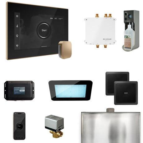Mr. Steam Bliss Steam Shower Control Package with iSteamX Control and Steamhead Mr. Steam