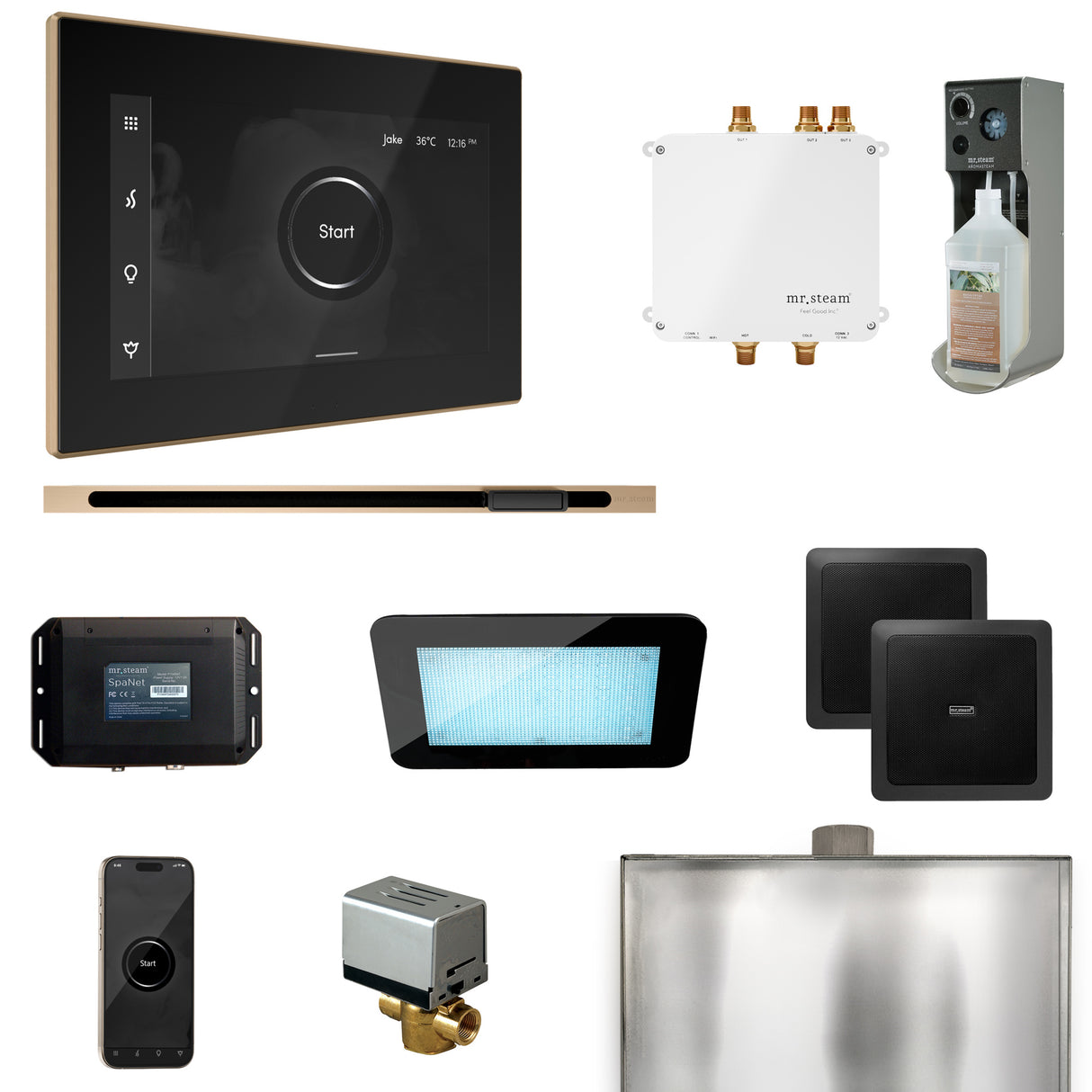 Mr. Steam Bliss Steam Shower Control Package with iSteamX Control and Linear Steamhead Mr. Steam