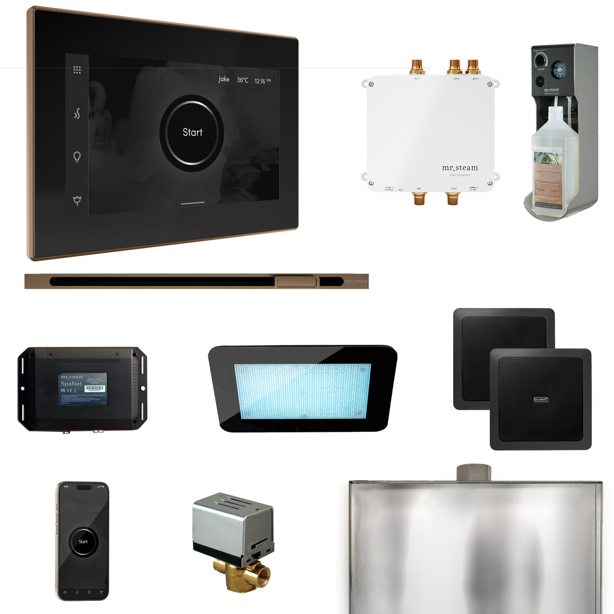Mr. Steam Bliss Steam Shower Control Package with iSteamX Control and Linear Steamhead Mr. Steam