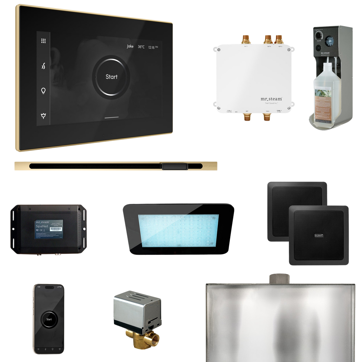 Mr. Steam Bliss Steam Shower Control Package with iSteamX Control and Linear Steamhead Mr. Steam