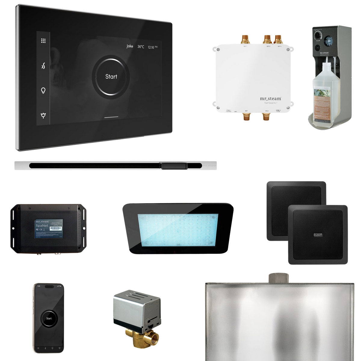 Mr. Steam Bliss Steam Shower Control Package with iSteamX Control and Linear Steamhead Mr. Steam