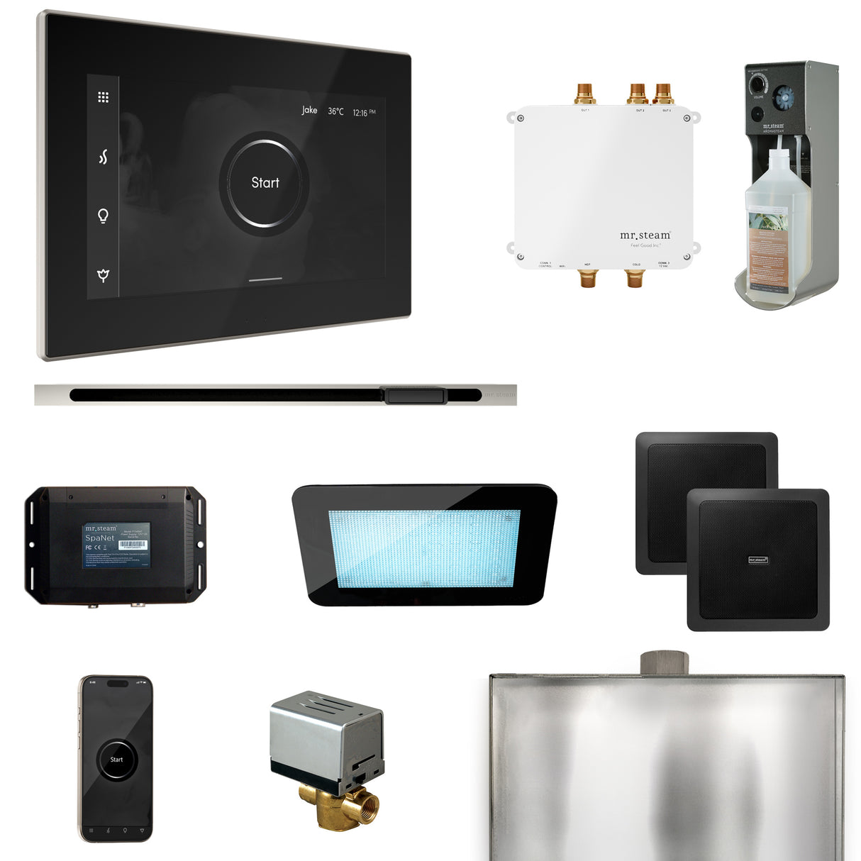 Mr. Steam Bliss Steam Shower Control Package with iSteamX Control and Linear Steamhead Mr. Steam