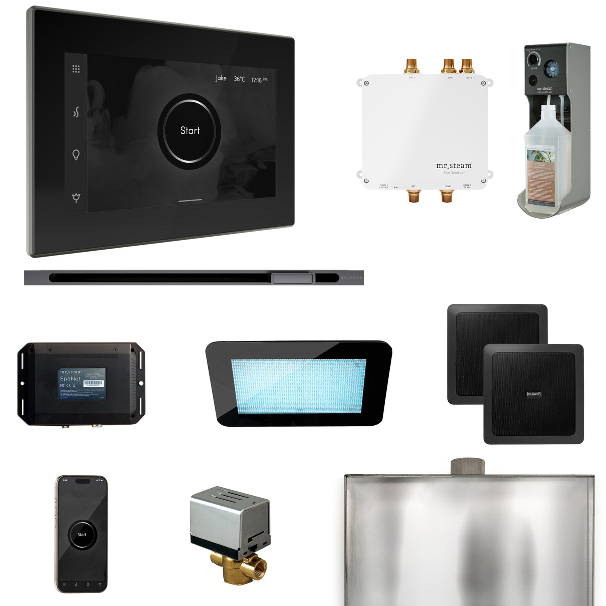 Mr. Steam Bliss Steam Shower Control Package with iSteamX Control and Linear Steamhead Mr. Steam