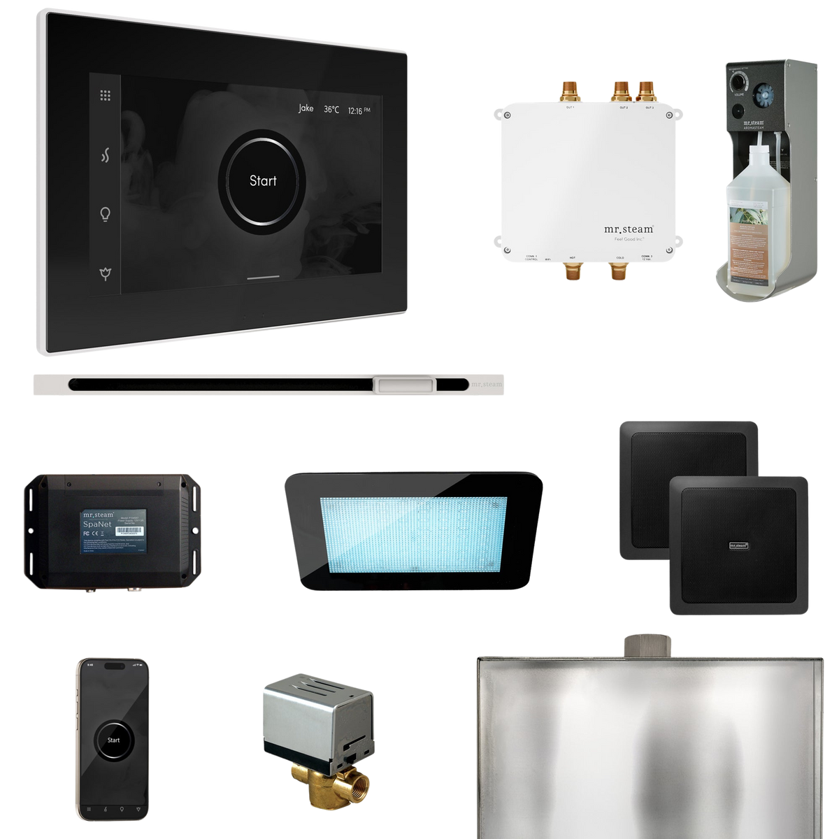Mr. Steam Bliss Steam Shower Control Package with iSteamX Control and Linear Steamhead Mr. Steam