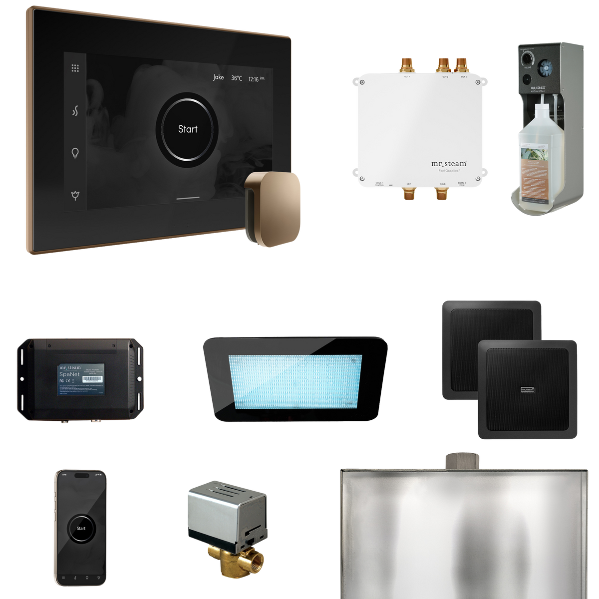 Mr. Steam Bliss Steam Shower Control Package with iSteamX Control and Steamhead Mr. Steam