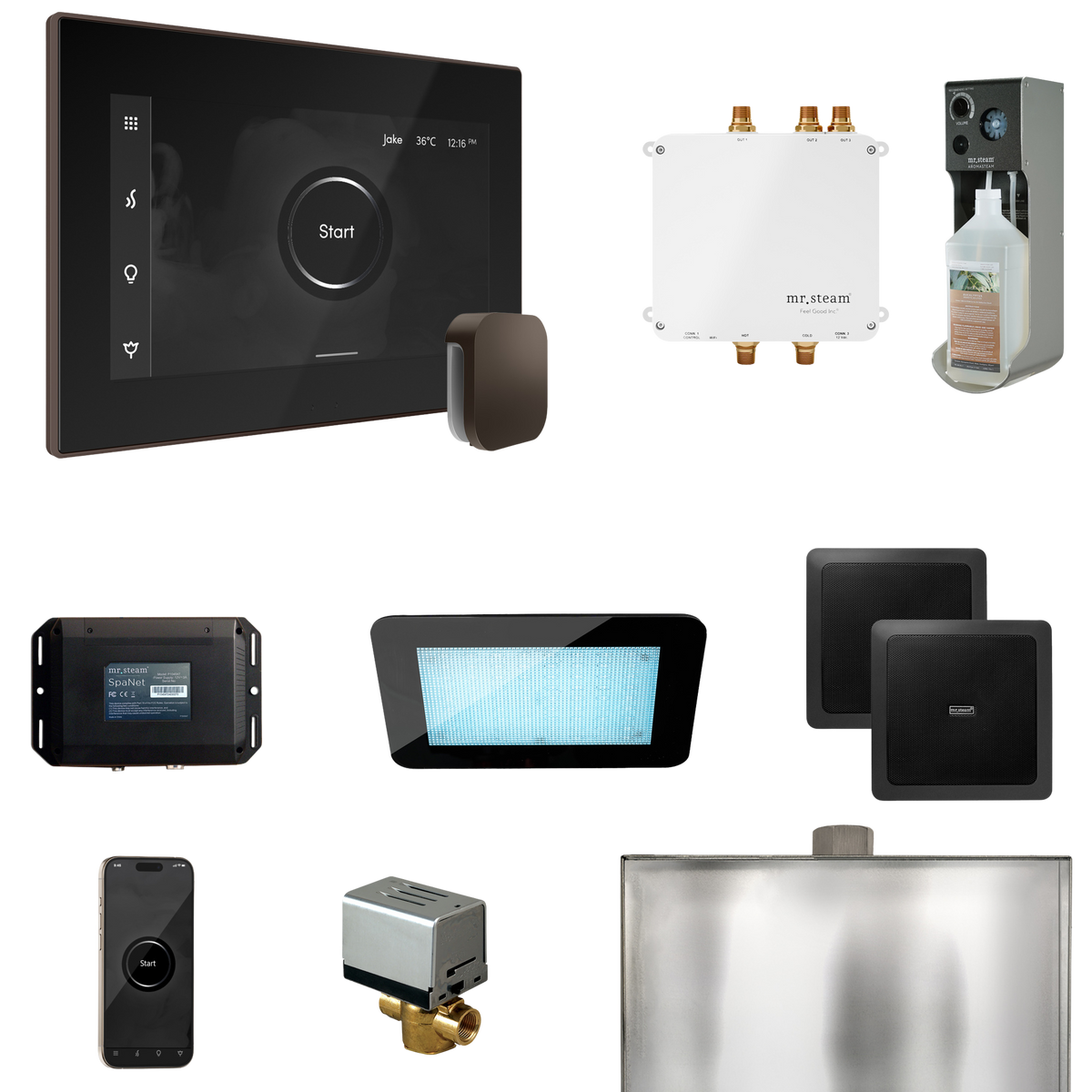 Mr. Steam Bliss Steam Shower Control Package with iSteamX Control and Steamhead Mr. Steam
