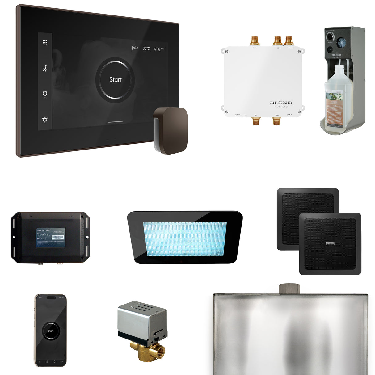 Mr. Steam Bliss Steam Shower Control Package with iSteamX Control and Steamhead Mr. Steam
