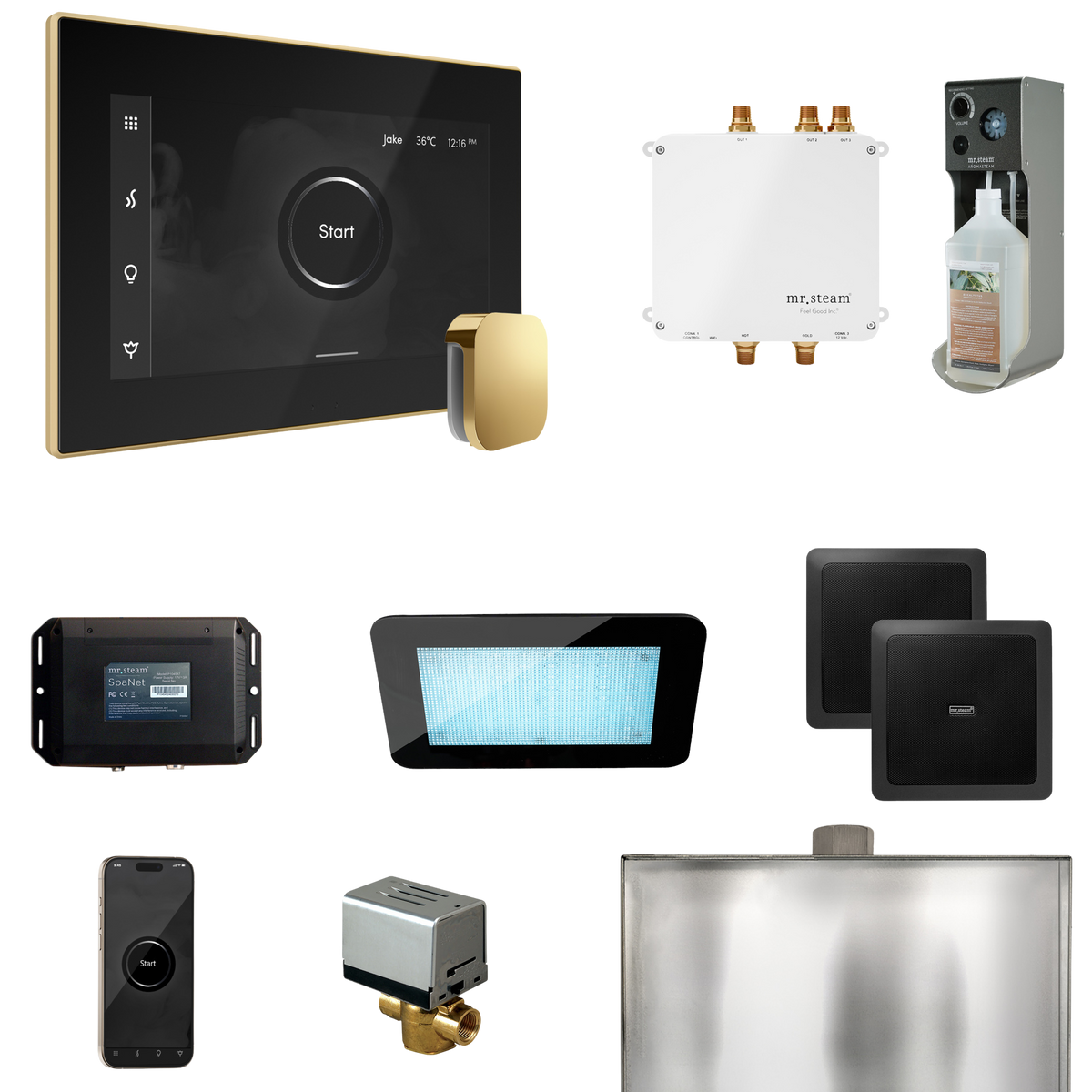 Mr. Steam Bliss Steam Shower Control Package with iSteamX Control and Steamhead Mr. Steam