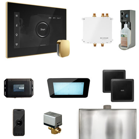 Mr. Steam Bliss Steam Shower Control Package with iSteamX Control and Steamhead Mr. Steam