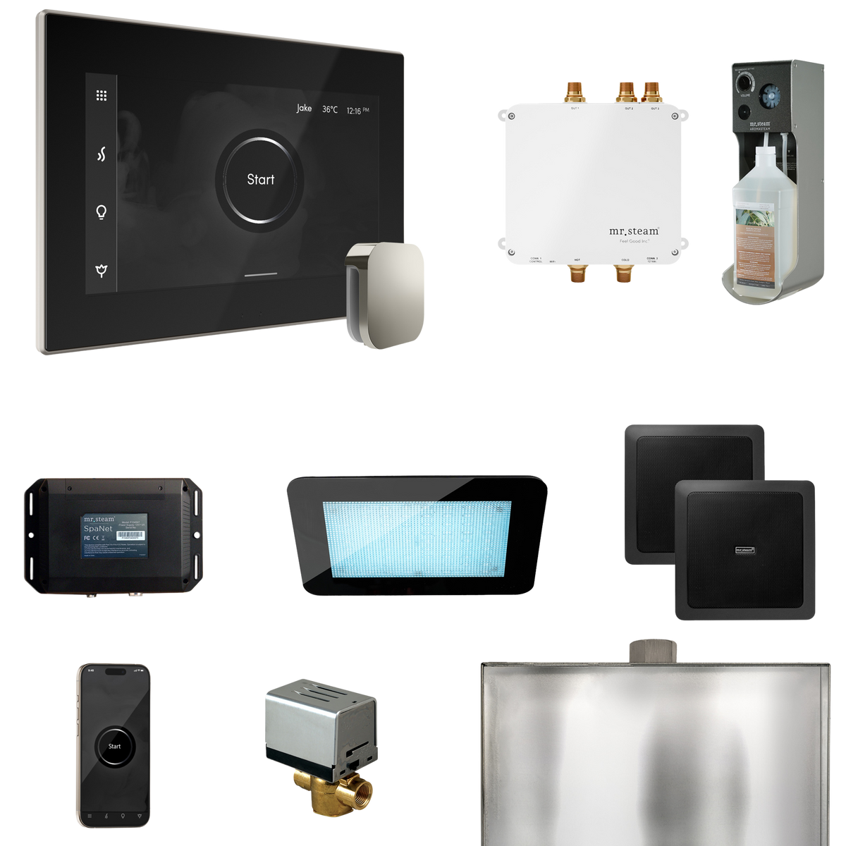 Mr. Steam Bliss Steam Shower Control Package with iSteamX Control and Steamhead Mr. Steam