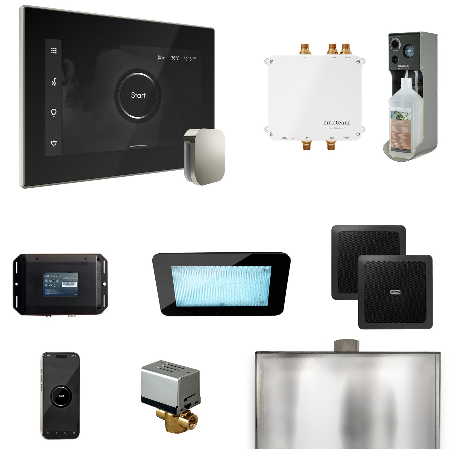Mr. Steam Bliss Steam Shower Control Package with iSteamX Control and Steamhead Mr. Steam