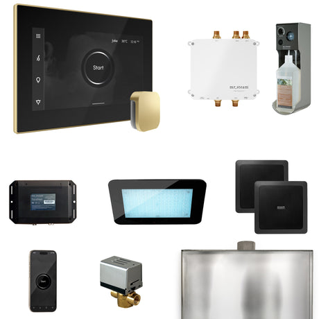 Mr. Steam Bliss Steam Shower Control Package with iSteamX Control and Steamhead Mr. Steam