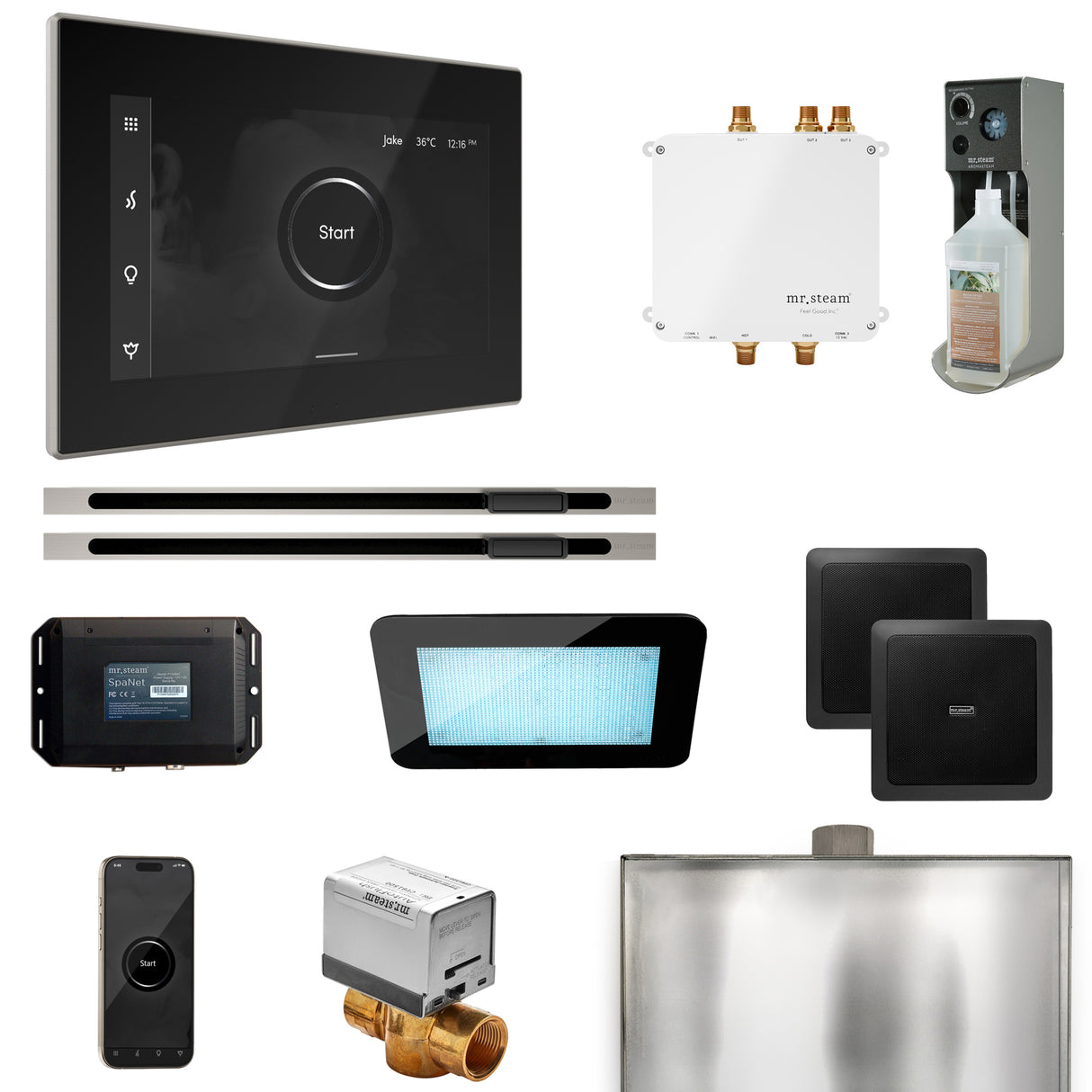 Mr. Steam Bliss Max Steam Shower Control Package with iSteamX Control and Linear Steamhead Mr. Steam