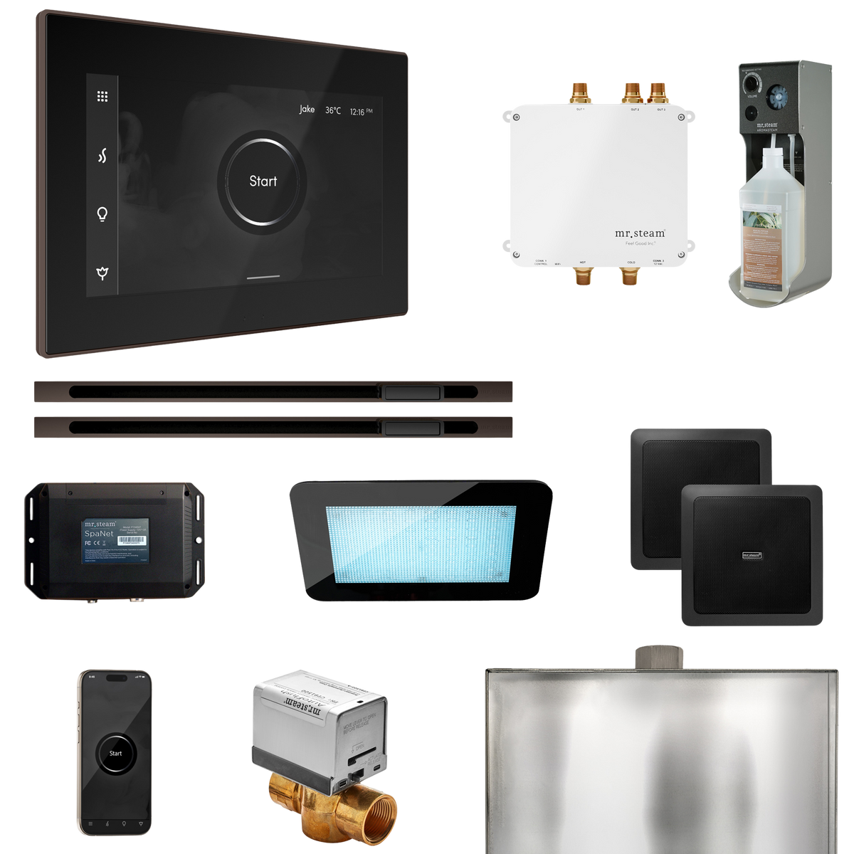 Mr. Steam Bliss Max Steam Shower Control Package with iSteamX Control and Linear Steamhead Mr. Steam