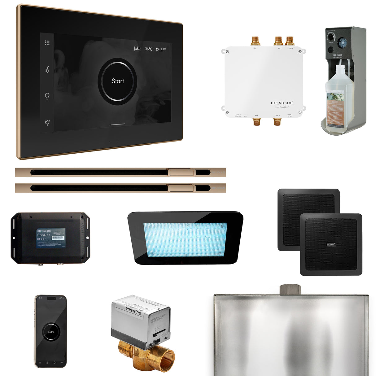 Mr. Steam Bliss Max Steam Shower Control Package with iSteamX Control and Linear Steamhead Mr. Steam