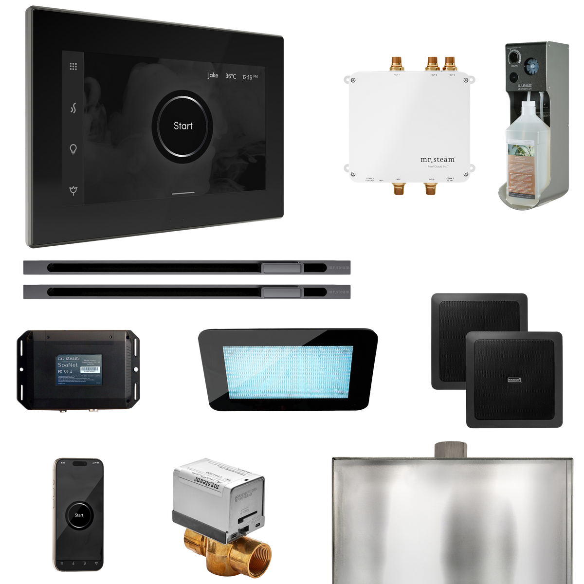 Mr. Steam Bliss Max Steam Shower Control Package with iSteamX Control and Linear Steamhead Mr. Steam