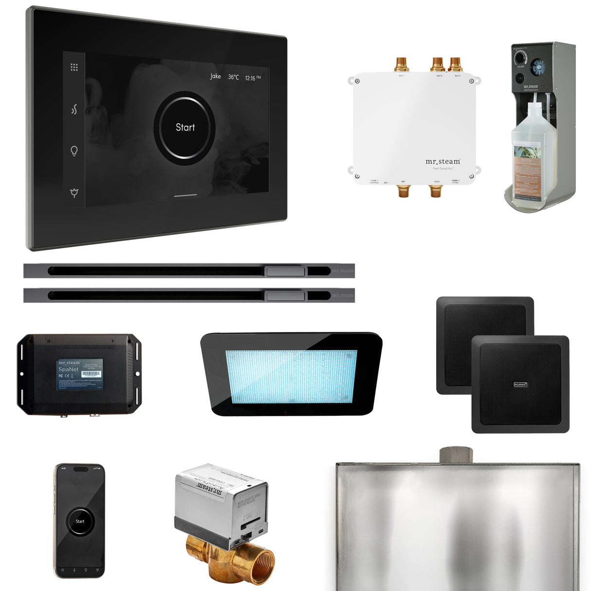 Mr. Steam Bliss Max Steam Shower Control Package with iSteamX Control and Linear Steamhead Mr. Steam