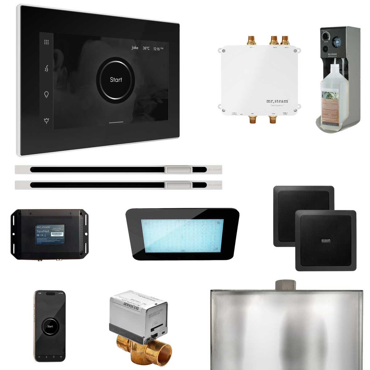 Mr. Steam Bliss Max Steam Shower Control Package with iSteamX Control and Linear Steamhead Mr. Steam