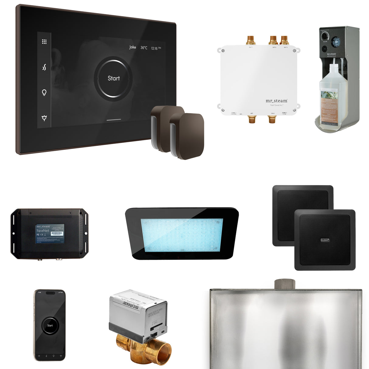 Mr. Steam Bliss Max Steam Shower Control Package with iSteamX Control and Steamhead Mr. Steam