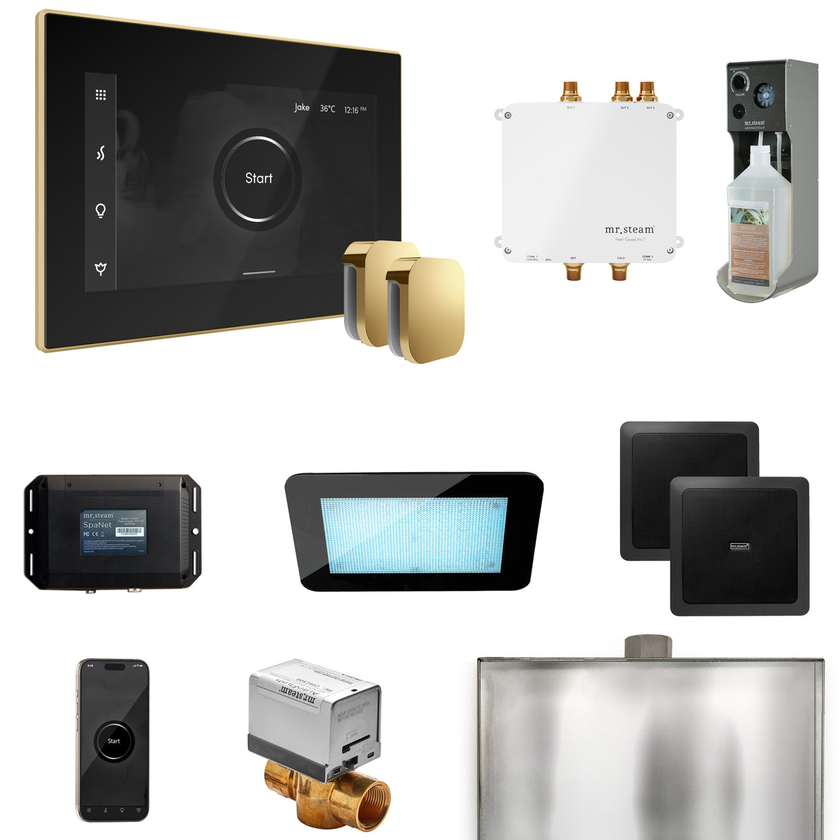 Mr. Steam Bliss Max Steam Shower Control Package with iSteamX Control and Steamhead Mr. Steam