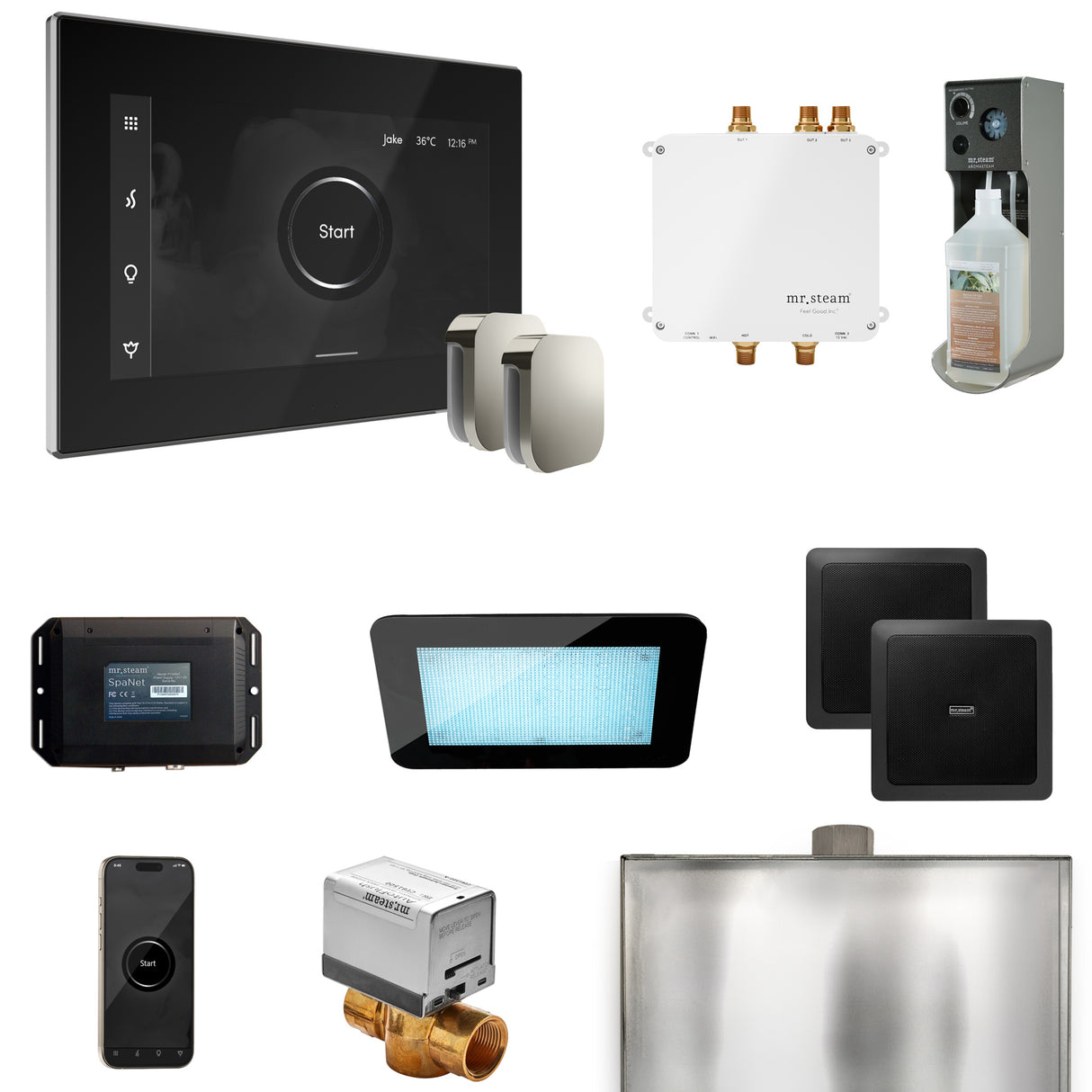 Mr. Steam Bliss Max Steam Shower Control Package with iSteamX Control and Steamhead Mr. Steam