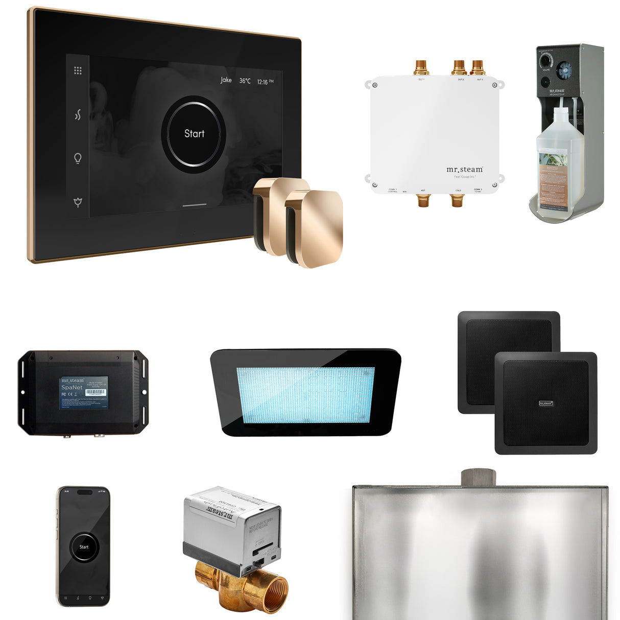 Mr. Steam Bliss Max Steam Shower Control Package with iSteamX Control and Steamhead Mr. Steam