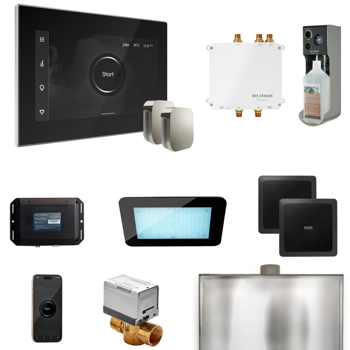 Mr. Steam Bliss Max Steam Shower Control Package with iSteamX Control and Steamhead Mr. Steam