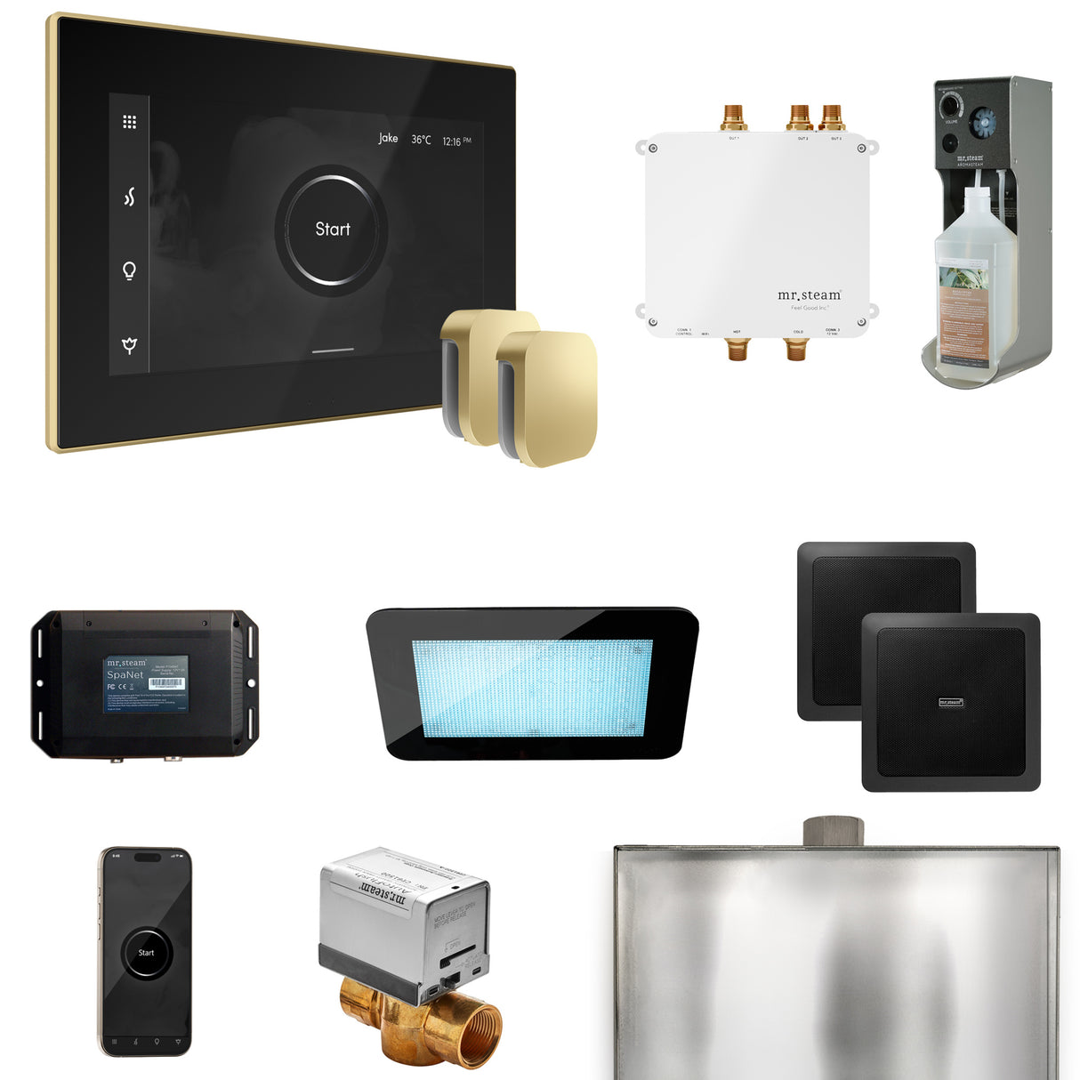Mr. Steam Bliss Max Steam Shower Control Package with iSteamX Control and Steamhead Mr. Steam