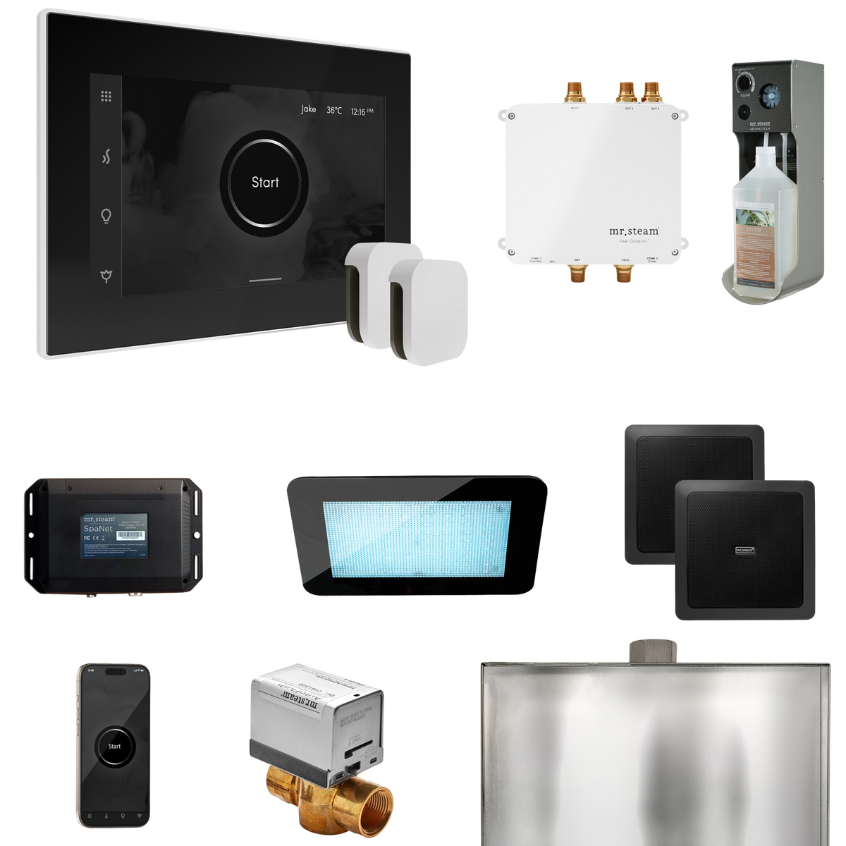 Mr. Steam Bliss Max Steam Shower Control Package with iSteamX Control and Steamhead Mr. Steam