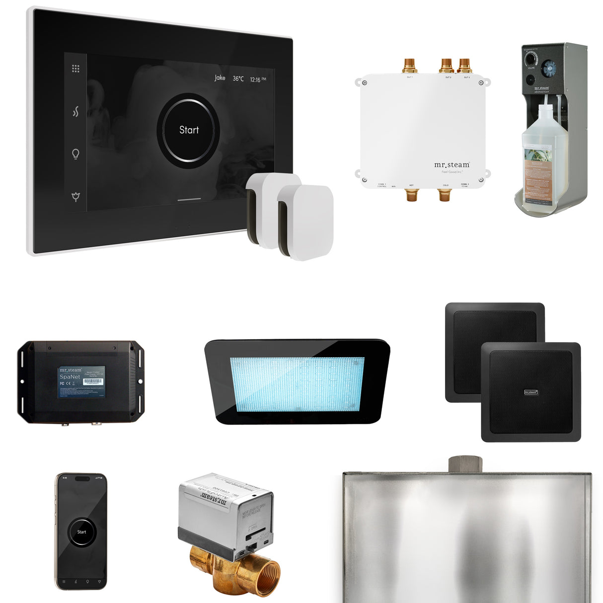 Mr. Steam Bliss Max Steam Shower Control Package with iSteamX Control and Steamhead Mr. Steam