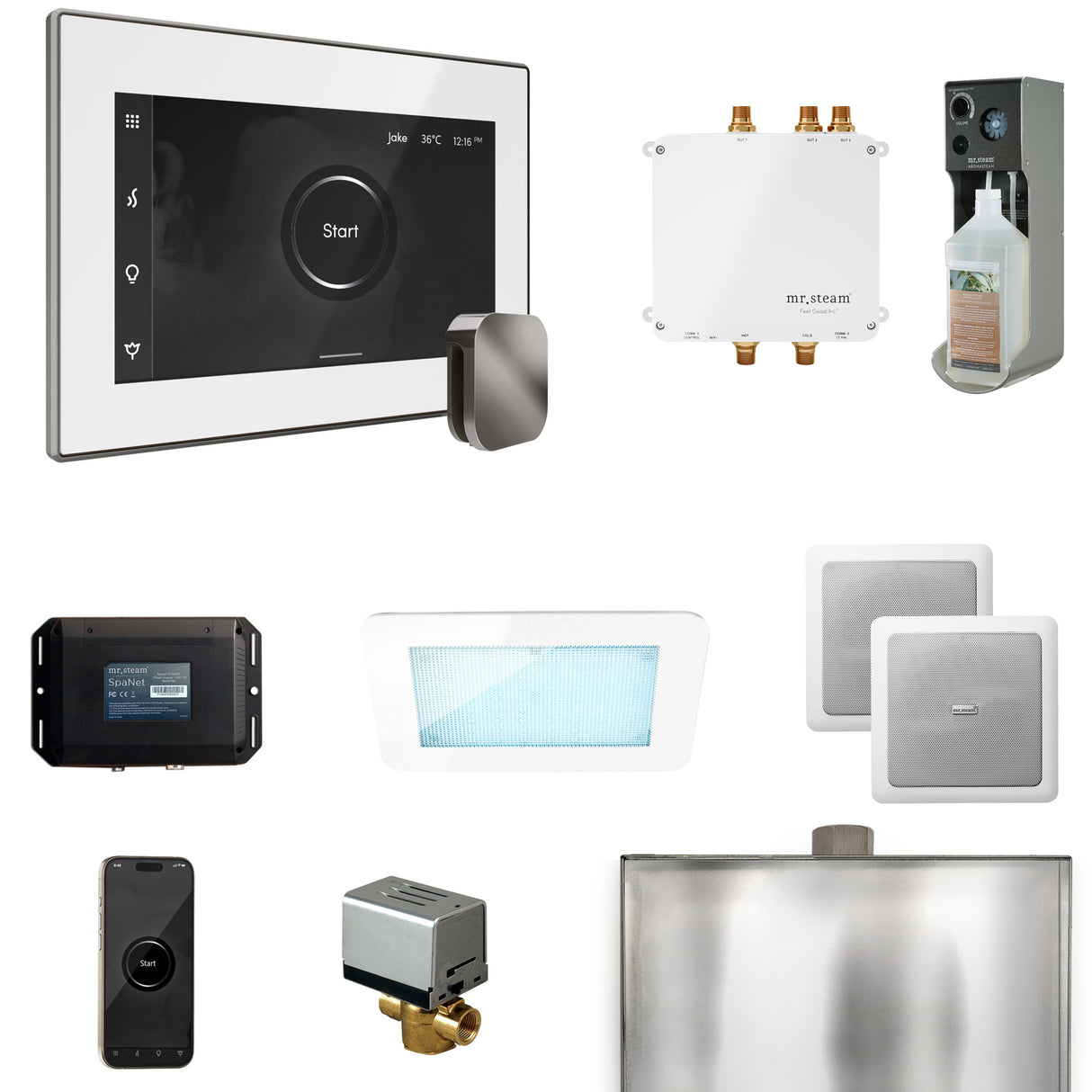 Mr. Steam Bliss Steam Shower Control Package with iSteamX Control and Steamhead Mr. Steam