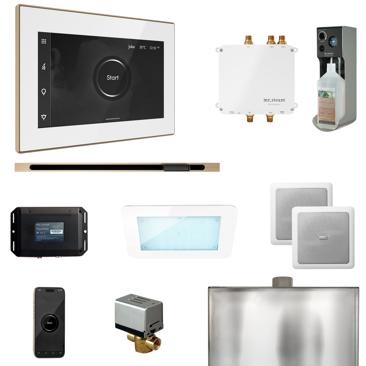 Mr. Steam Bliss Steam Shower Control Package with iSteamX Control and Linear Steamhead Mr. Steam