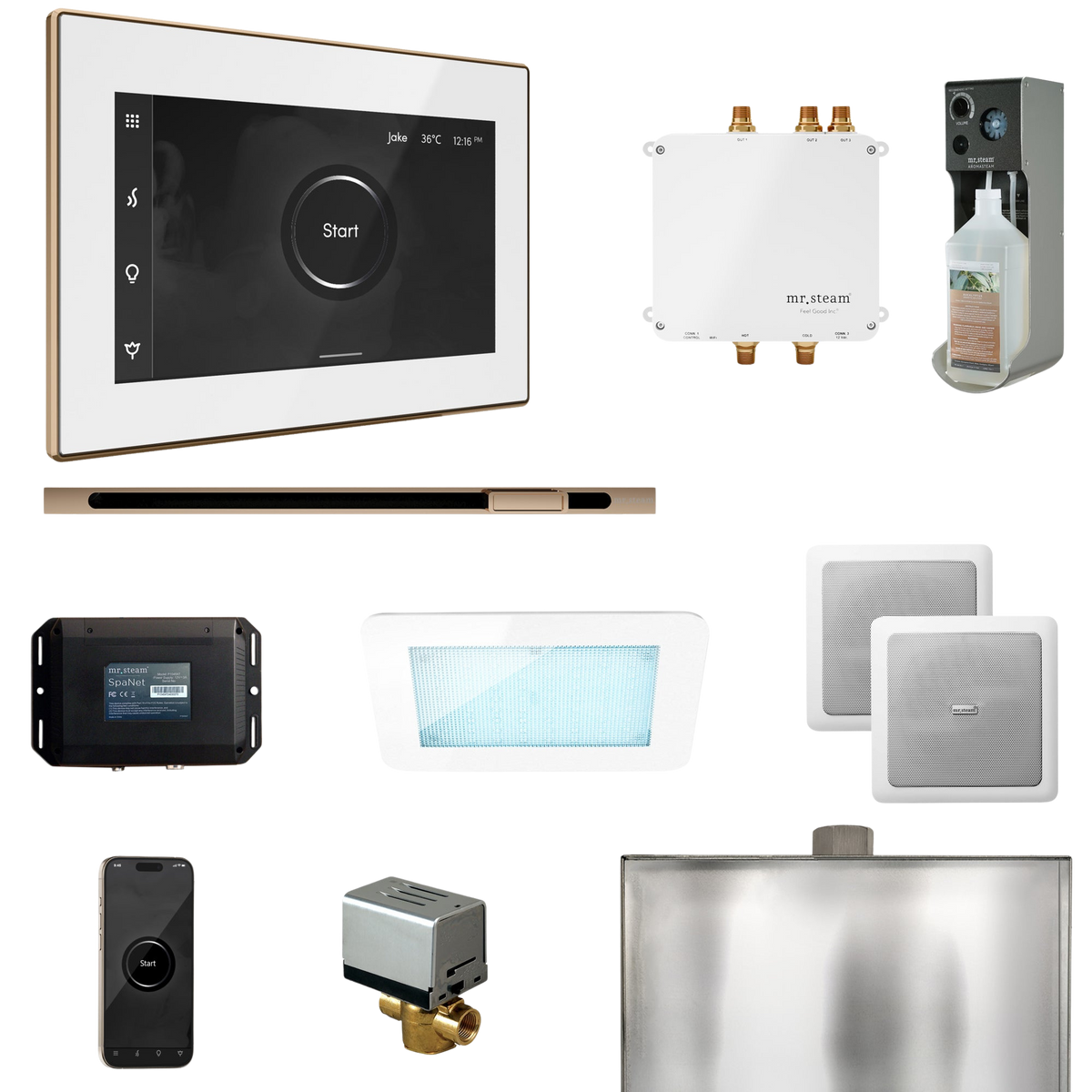 Mr. Steam Bliss Steam Shower Control Package with iSteamX Control and Linear Steamhead Mr. Steam