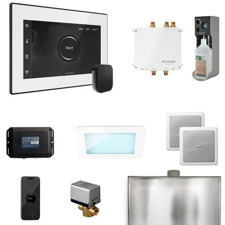 Mr. Steam Bliss Steam Shower Control Package with iSteamX Control and Steamhead Mr. Steam