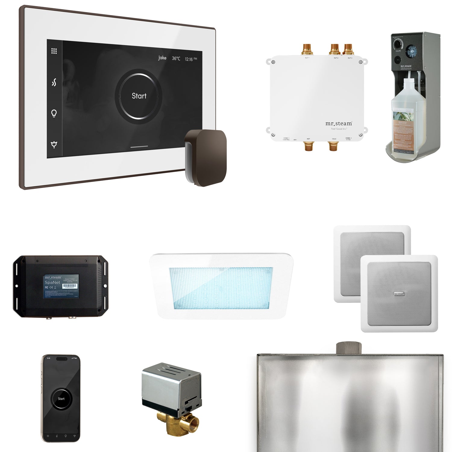 Mr. Steam Bliss Steam Shower Control Package with iSteamX Control and Steamhead Mr. Steam