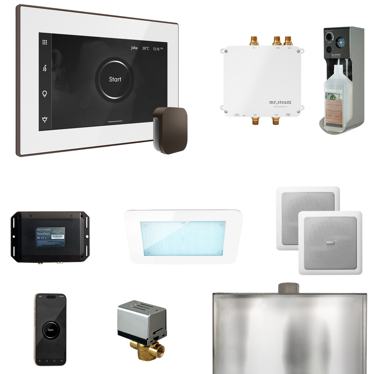Mr. Steam Bliss Steam Shower Control Package with iSteamX Control and Steamhead Mr. Steam