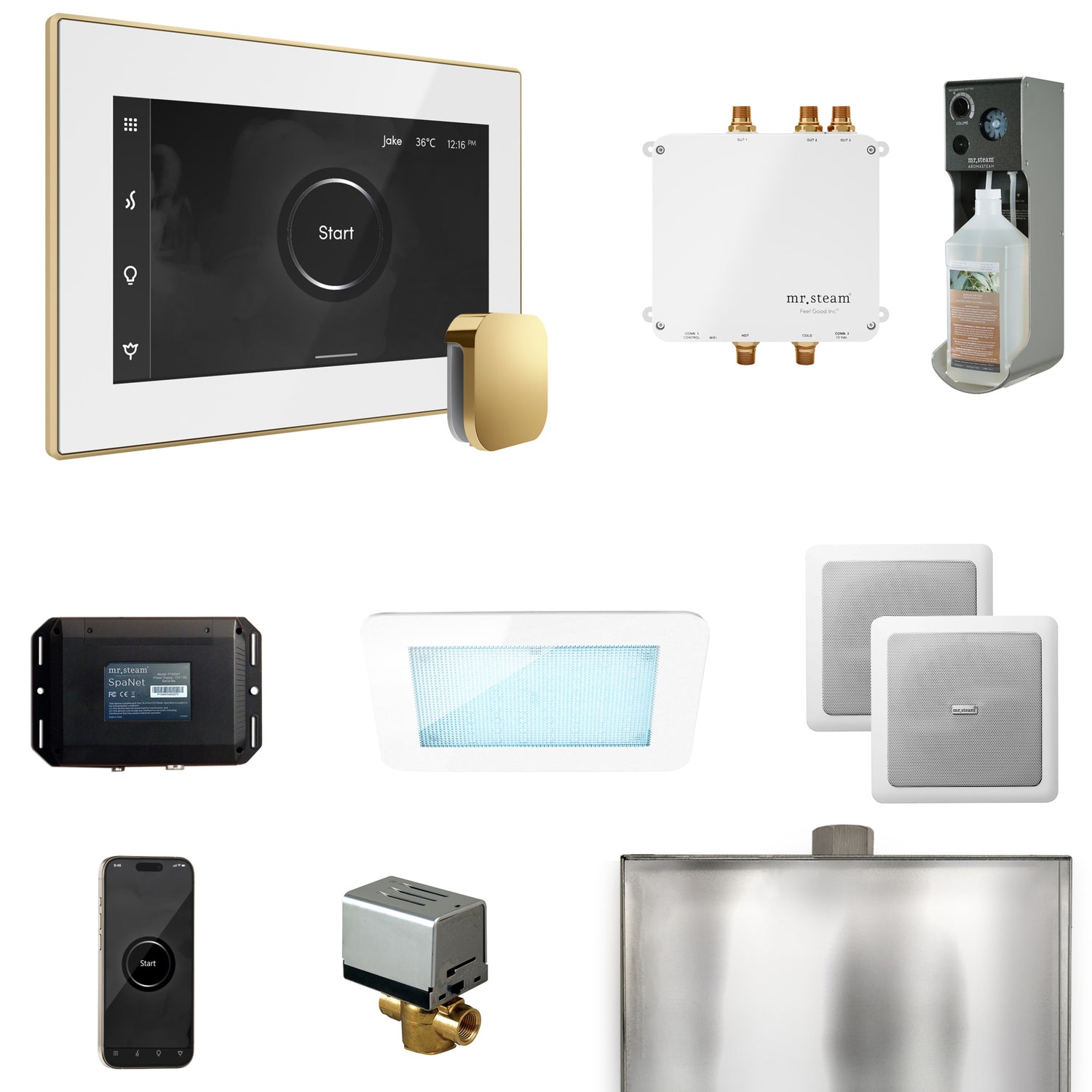 Mr. Steam Bliss Steam Shower Control Package with iSteamX Control and Steamhead Mr. Steam