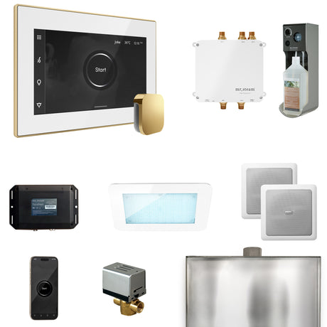Mr. Steam Bliss Steam Shower Control Package with iSteamX Control and Steamhead Mr. Steam